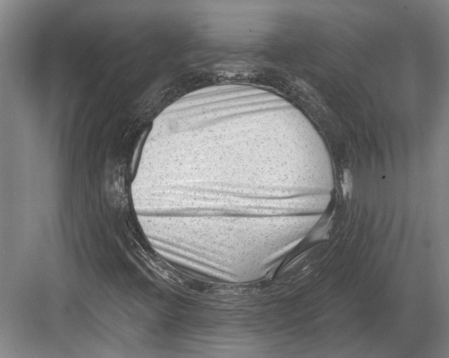 X0000082681396200702161646