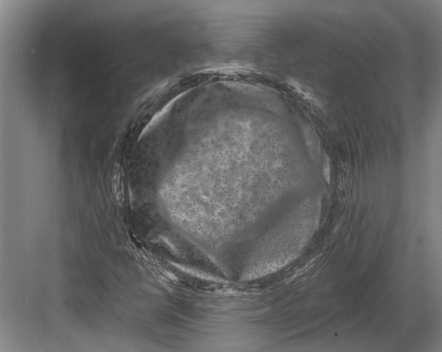 X0000082681398200702161646