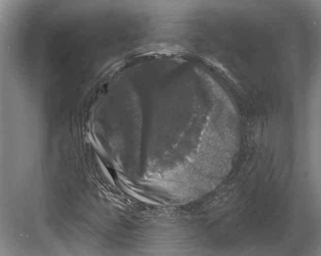 X0000082681399200702161646