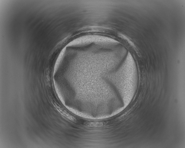 X0000082681403200702161646