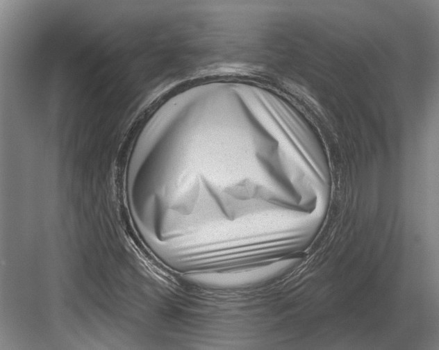 X0000082681404200702161646