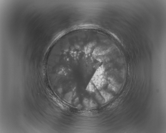 X0000082681405200702161646