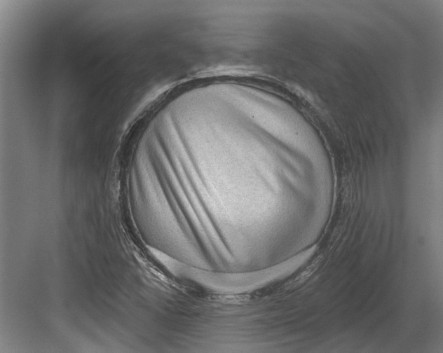 X0000082681406200702161646