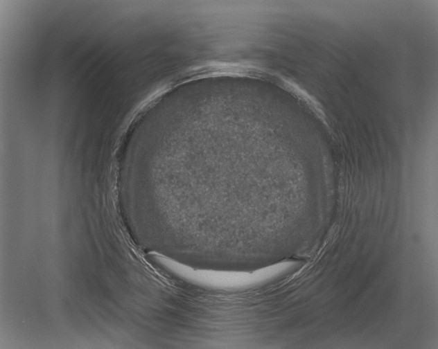 X0000082681411200702161646