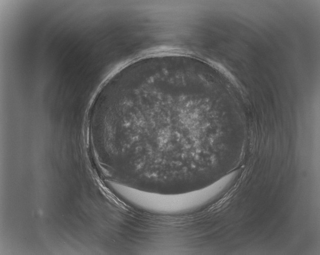 X0000082681413200702161646