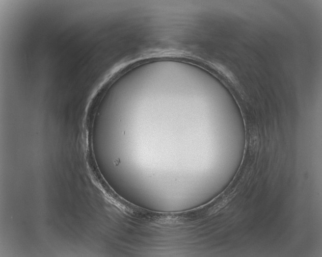 X0000082681414200702161646