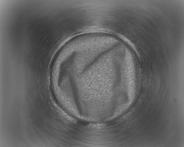 X0000082681415200702161646