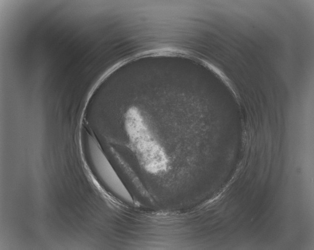 X0000082681418200702161646