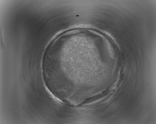 X0000082681422200702161646