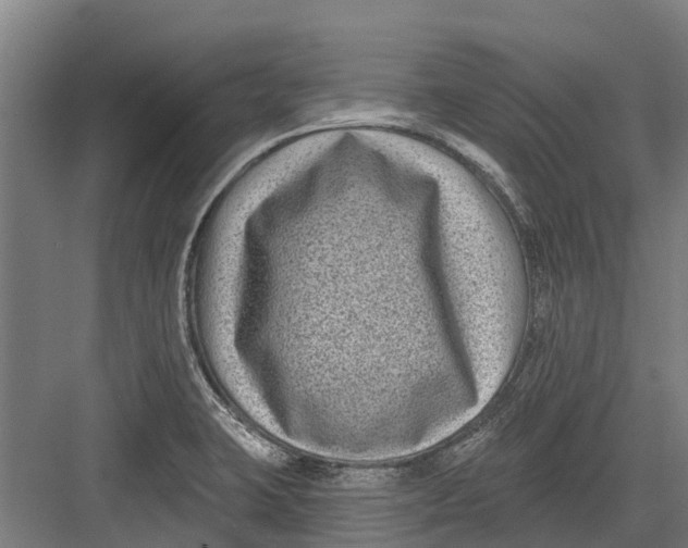 X0000082681423200702161646