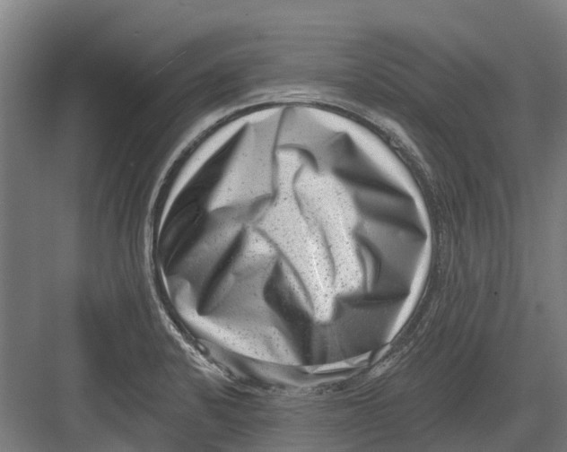 X0000082681424200702161646