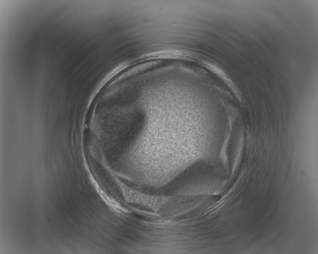 X0000082681426200702161646