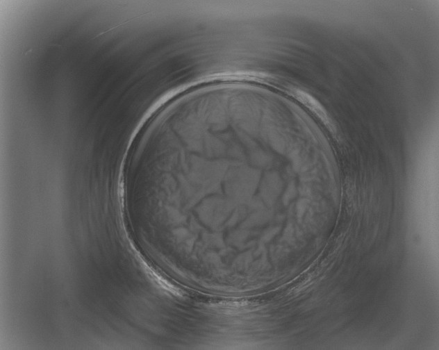 X0000082681428200702161646