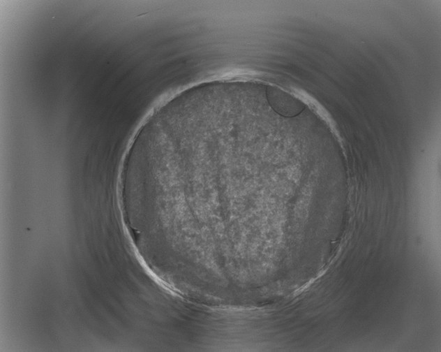 X0000082681429200702161646