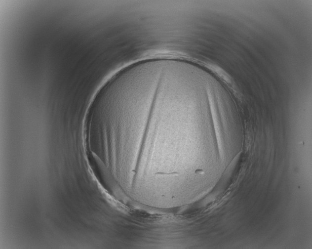 X0000082681430200702161646