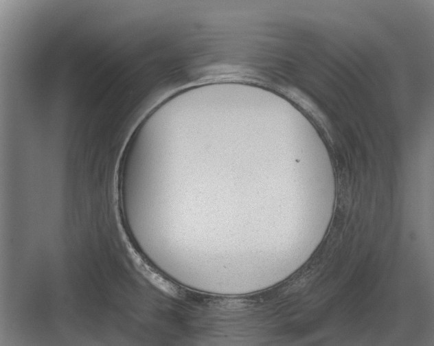 X0000082681431200702161647