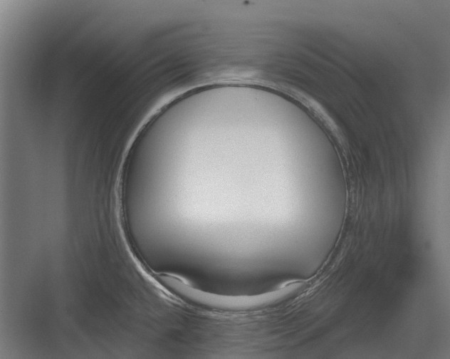 X0000082681432200702161647