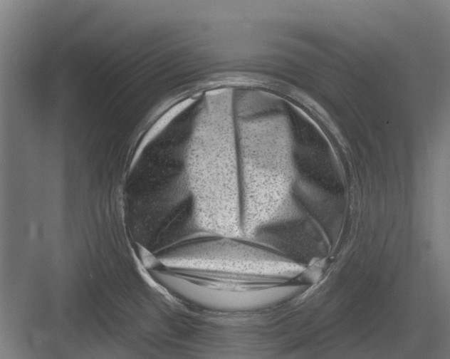 X0000082681433200702161647