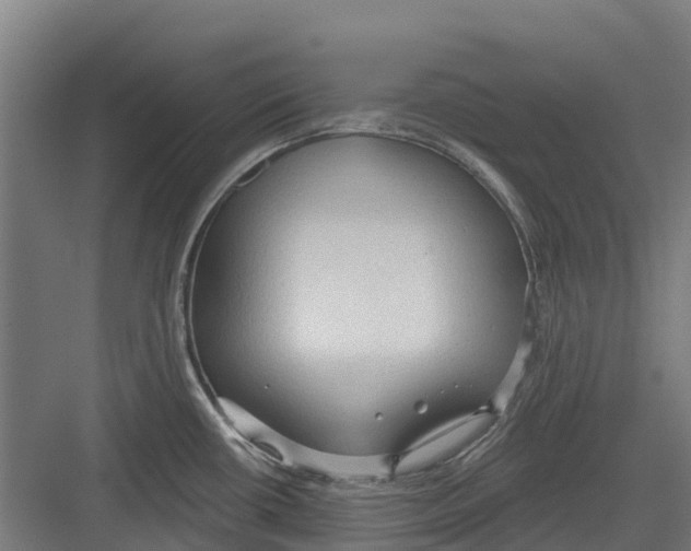 X0000082681434200702161647