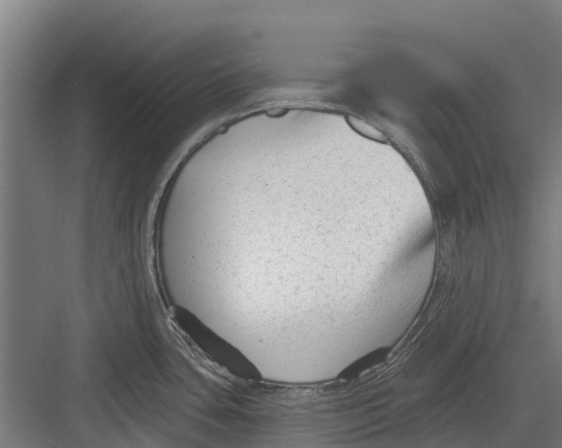 X0000082681435200702161647