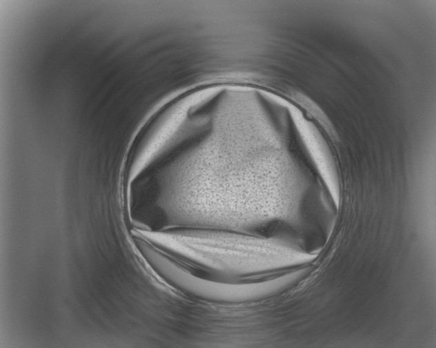 X0000082681436200702161647