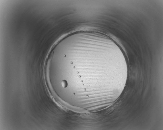 X0000082681437200702161647