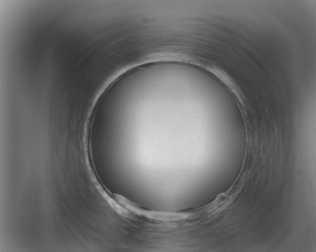 X0000082681438200702161647