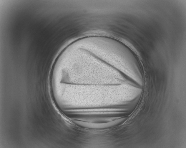 X0000082681440200702161647