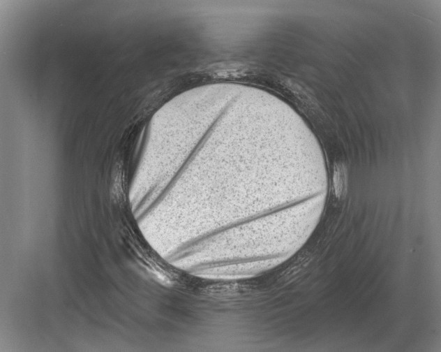 X0000082681444200702161646