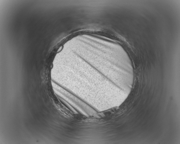 X0000082681448200702161646