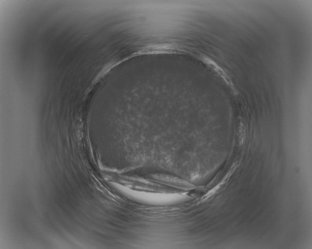 X0000082681449200702161646