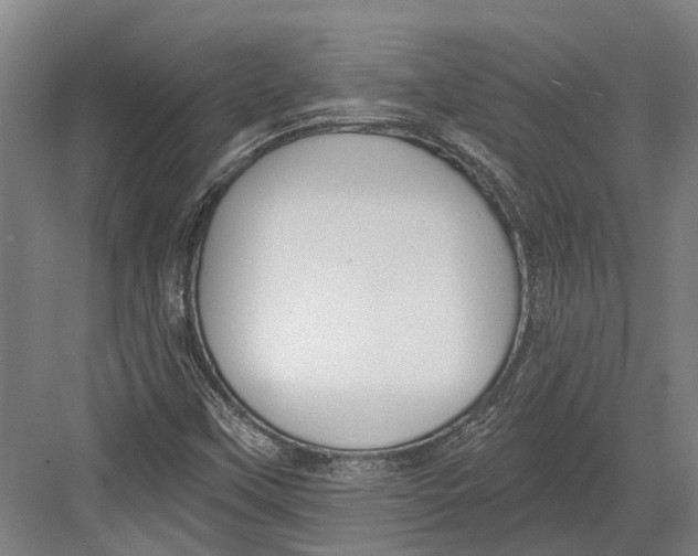 X0000082681451200702161646