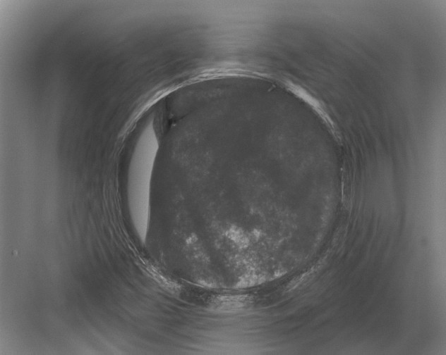 X0000082681453200702161646