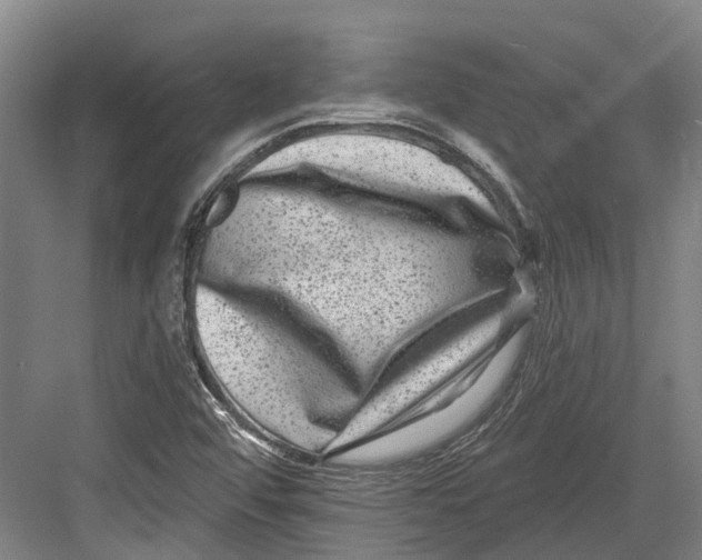 X0000082681456200702161646