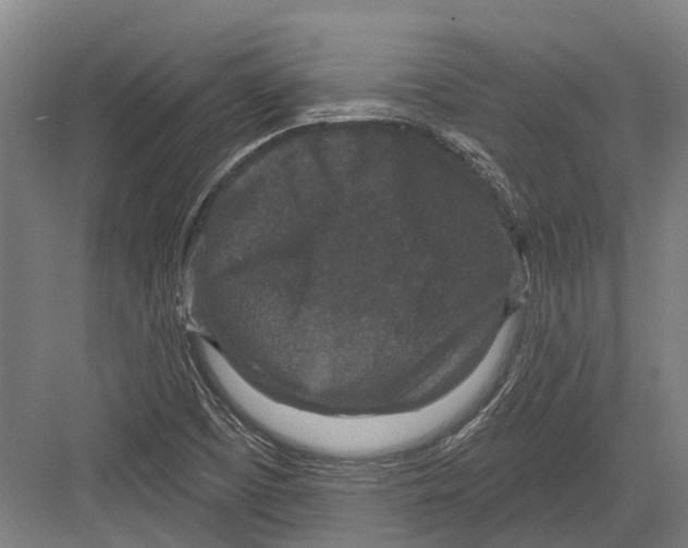 X0000082681457200702161646