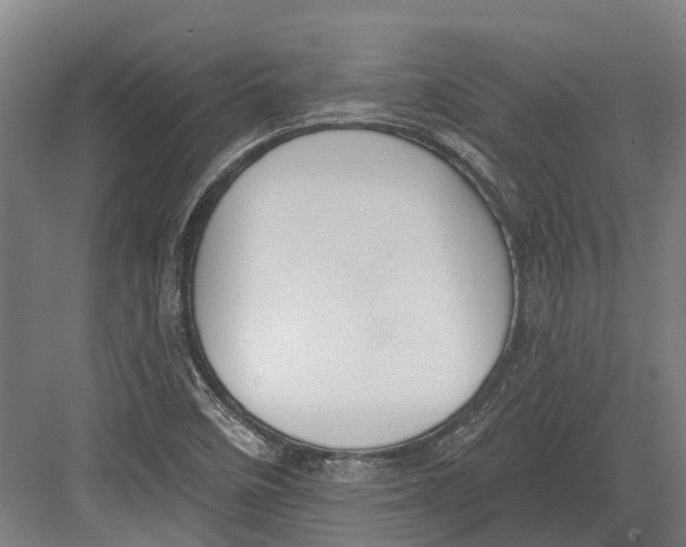 X0000082681458200702161646