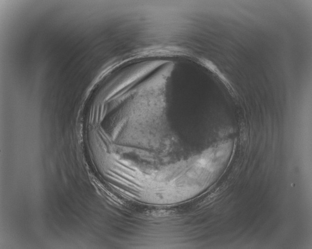 X0000082681459200702161646