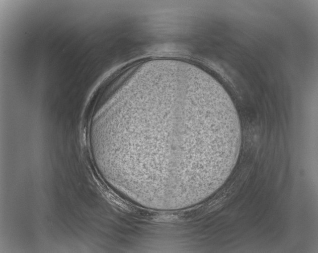 X0000082681462200702161645