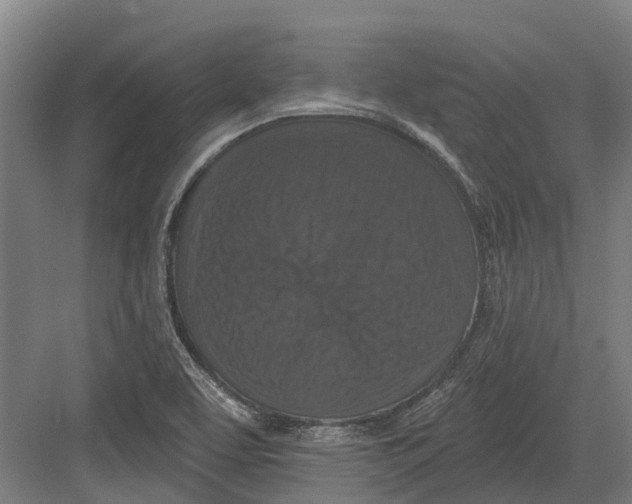 X0000082681463200702161645