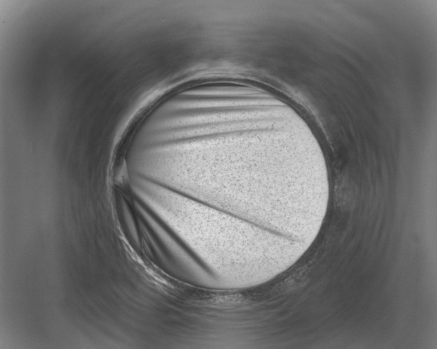 X0000082681464200702161645