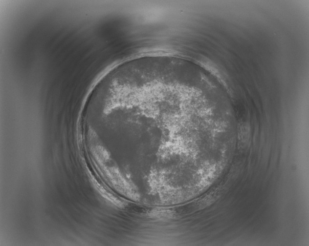 X0000082681466200702161645