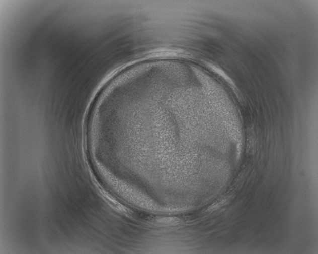 X0000082681467200702161645