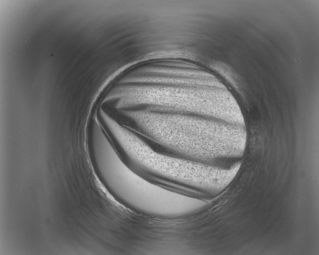 X0000082681468200702161645