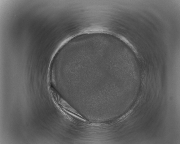 X0000082681469200702161645