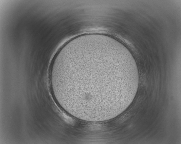 X0000082681470200702161645