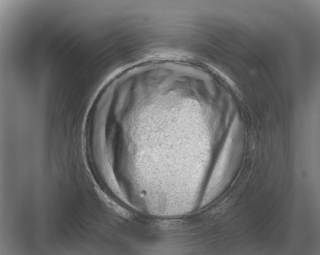 X0000082681471200702161645