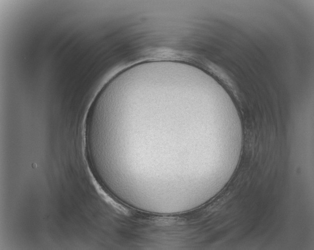 X0000082681479200702161645