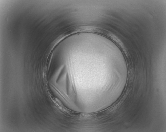 X0000082681481200702161645