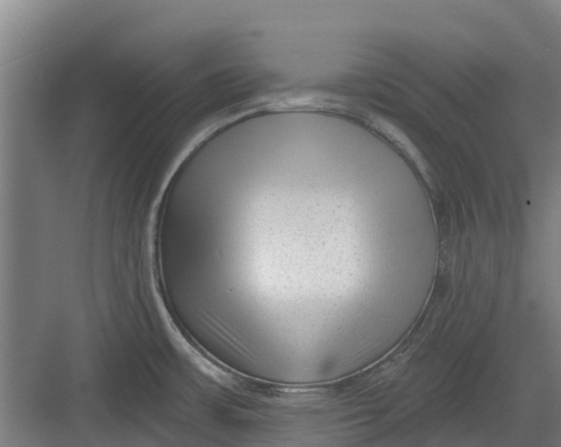 X0000082681483200702161645