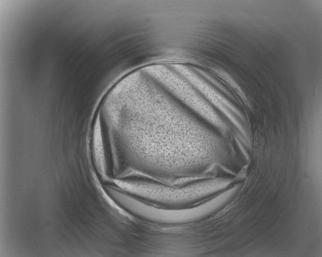 X0000082681484200702161645